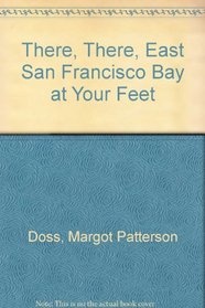 There, there: East San Francisco Bay at your feet