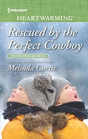 Rescued by the Perfect Cowboy (Mountain Monroes, Bk 3) (Harlequin Heartwarming, No 299) (Larger Print)
