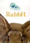 Rabbit (I Am Your Pet)