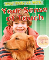 Your Sense of Touch (Your Body at Work)