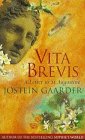 Vita Brevis: A Letter to St. Augustine