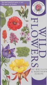 Wild Flowers of Britain  Northern Europe (Kingfisher Field Guides)