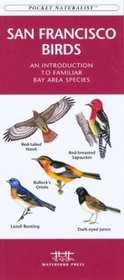 San Francisco Birds: An Introduction to Familiar Bay Area Species