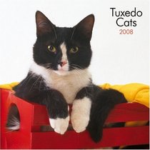 Tuxedo Cats 2008 Square Wall Calendar