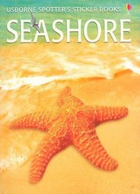 Seashore (Usborne Spotter's Sticker Books)
