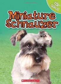 Miniature Schnauzer (Top Dogs)