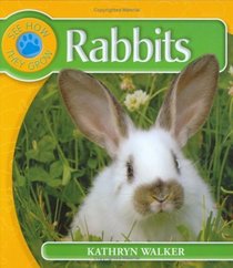 Rabbit (See How Animals Grow)