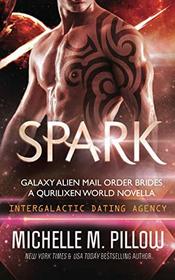Spark: Intergalactic Dating Agency: a Qurilixen World Novella (Galaxy Alien Mail Order Brides)