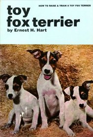 How to Raise and Train a Toy Fox Terrier