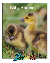 Baby Animals (Zoobooks Series)
