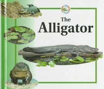 The Alligator (Crewe, Sabrina. Life Cycles.)