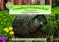 Groundhog at Evergreen Road