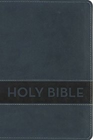 NIrV, Gift Bible, Imitation Leather, Blue