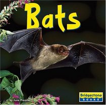 Bats (World of Mammals)