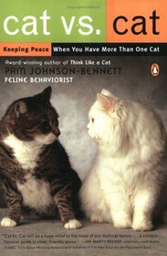 Cat Vs. Cat: Keeping Peace When You Have More Than One Cat