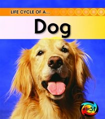 Dog (2nd Edition) (Heinemann First Library)