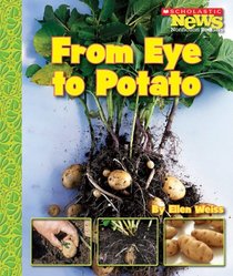 From Eye to Potato (Scholastic News Nonfiction Readers)