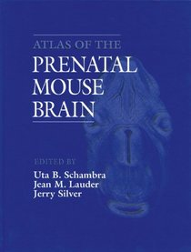 Atlas of the Prenatal Mouse Brain