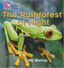The Rainforest at Night: Blue/Band 4 (Collins Big Cat Phonics)