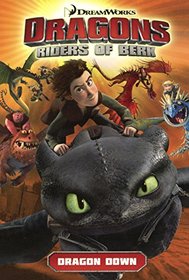 Dragon Down: DreamWorks' Dragons: Riders of Berk (How to Train Your Dragon Graphic Novels)
