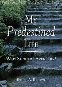 My Predestined Life: Why Should I Even Try?