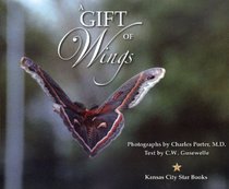A Gift of Wings