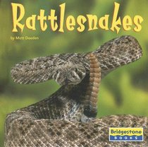 Rattlesnakes (World of Reptiles)