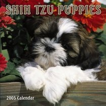 Shih Tzu Puppies 2005 Mini Wall Calendar
