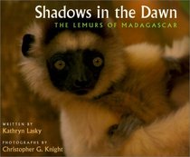 Shadows in the Dawn (Gulliver Green Book)