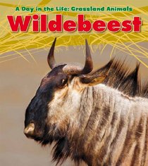 Wildebeest (A Day in the Life: Grassland Animals)