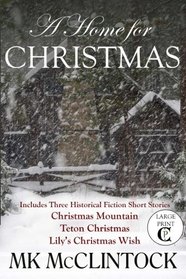 A Home for Christmas (Short Story Collection) (Cambron Press Large Print)