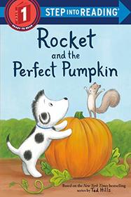 Rocket and the Perfect Pumpkin (Step into Reading Level 1)