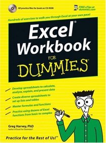 Excel Workbook For Dummies (For Dummies (Computer/Tech))