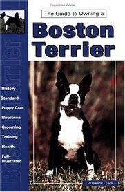 Guide to Owning a Boston Terrier (Re-335)