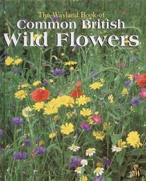 Wayland Book of Common British Wild Flowers: A Photographic Guide
