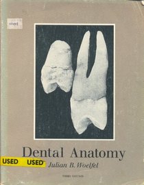 Dental Anatomy: Its Correlation With Dental Health Service