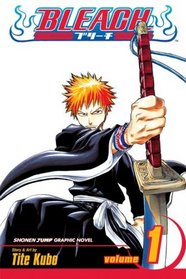 Bleach, Vol 1