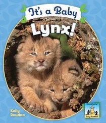 It's a Baby Lynx! (Baby Mammals)