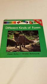 Different Kinds of Foxes (My World Series)