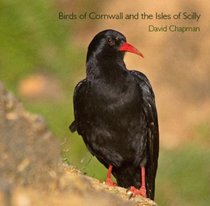 Birds of Cornwall and the Isles of Scilly (Pocket Cornwall)