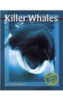 Killer Whales (Predators in the Wild)