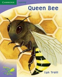 Pobblebonk Reading 6.5 Queen Bee