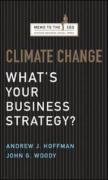 Climate Change: What's Your Business Strategy? (Memo to the CEO)