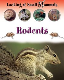 Rodents (Looking at Small Mammals)