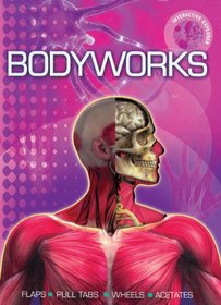 Interactive Explorer: Bodyworks
