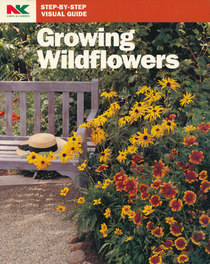 Growing Wildflowers (Step-by-Step Visual Guide)