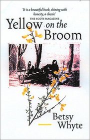 The Yellow on the Broom