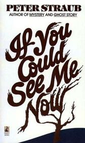 If You Could See Me Now