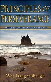 Principles of Perseverance: What to Do Instead of Giving Up