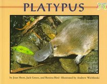 Platypus (Mondo Animals)